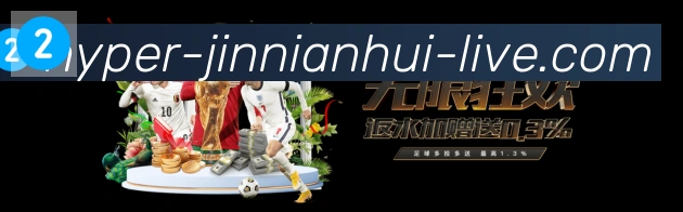 登录器